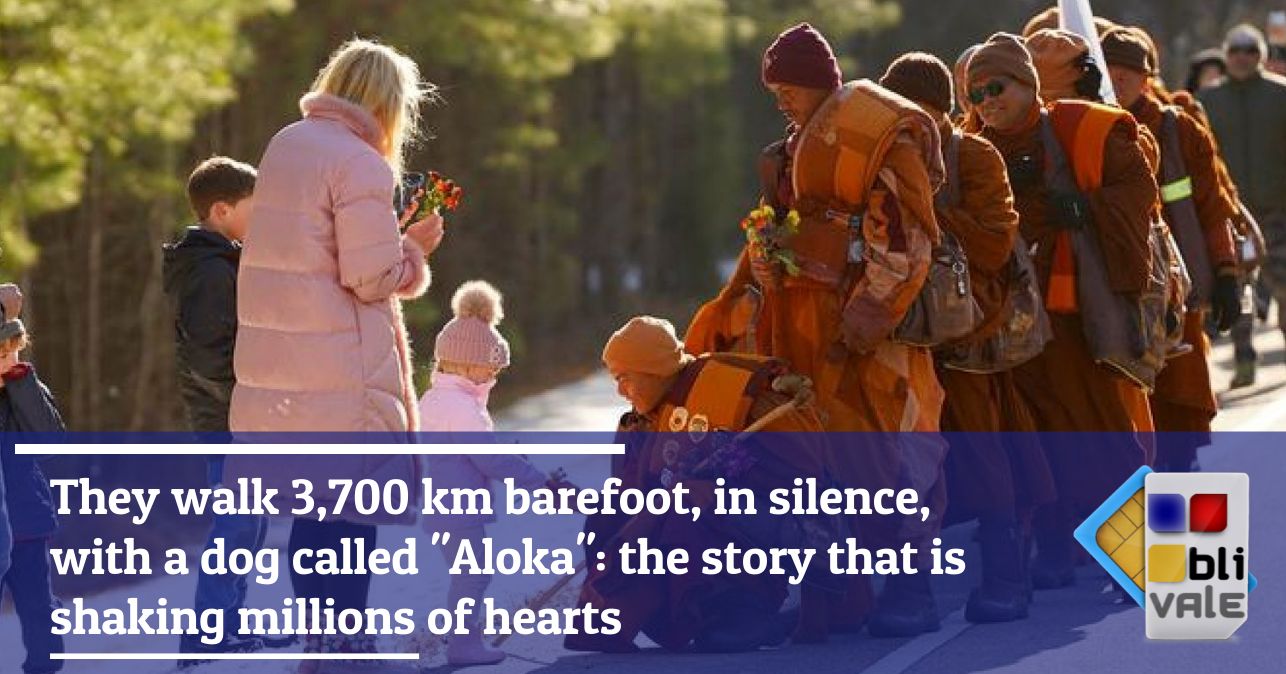 blivale_image_en_They walk 3700 km barefoot in silence with a dog named Aloka_643x337 Blog